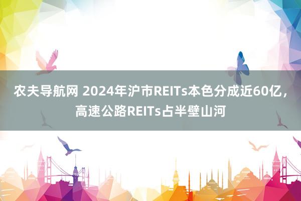 农夫导航网 2024年沪市REITs本色分成近60亿，高速公路REITs占半壁山河