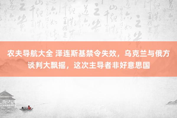 农夫导航大全 泽连斯基禁令失效，乌克兰与俄方谈判大飘摇，这次主导者非好意思国
