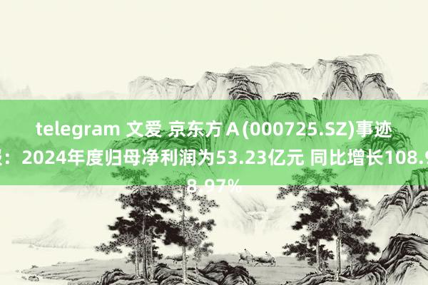 telegram 文爱 京东方Ａ(000725.SZ)事迹快报：2024年度归母净利润为53.23亿元 同比增长108.97%