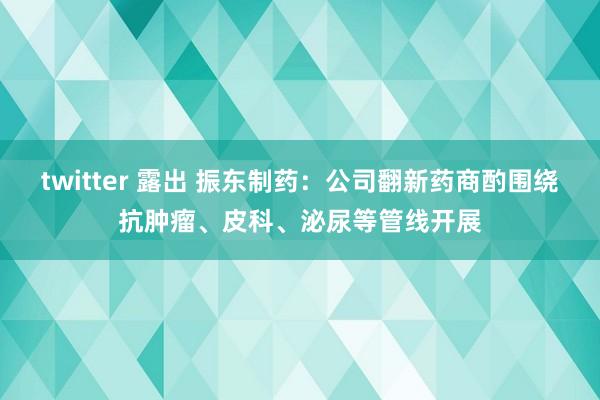 twitter 露出 振东制药：公司翻新药商酌围绕抗肿瘤、皮科、泌尿等管线开展